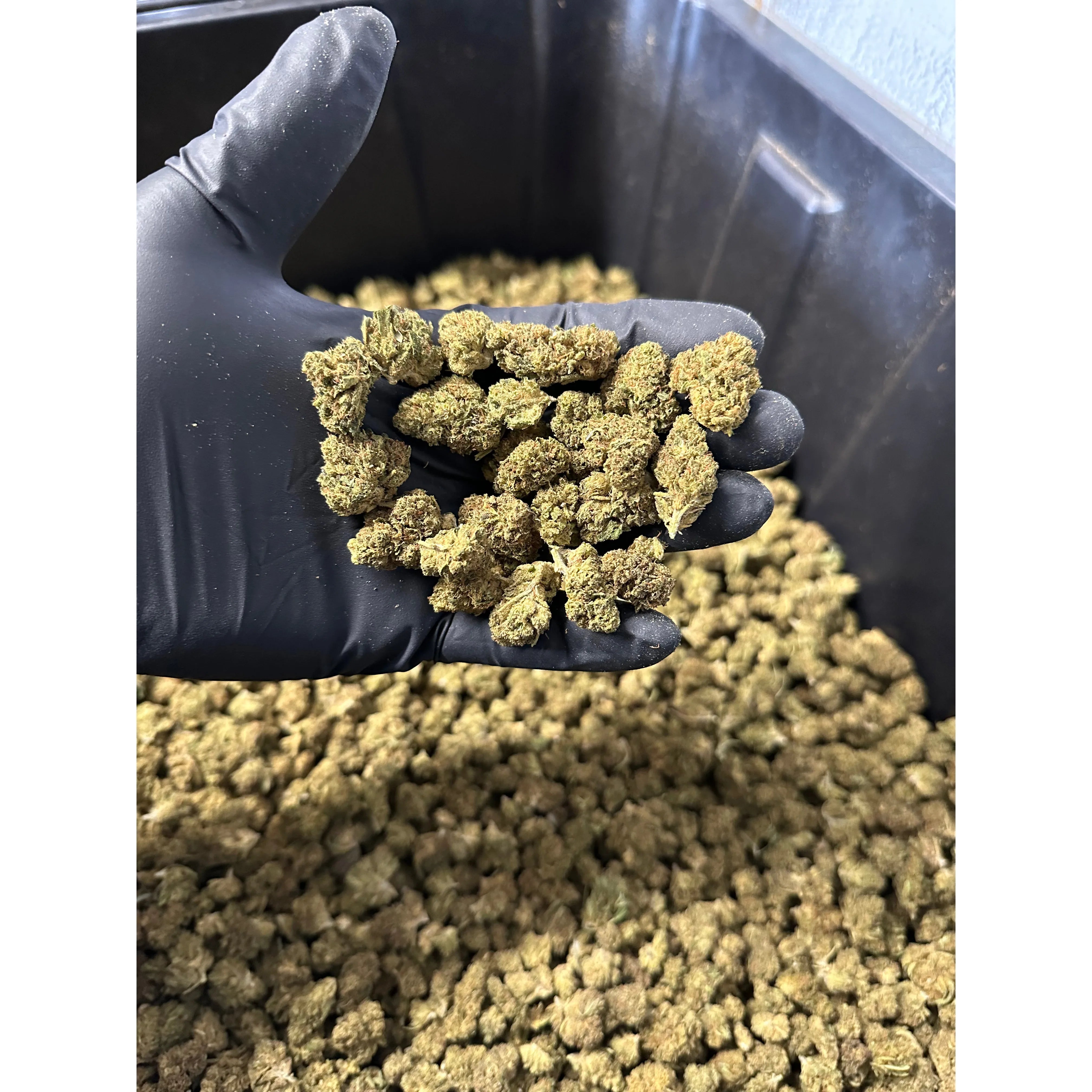Lifter Smalls Hemp Flower